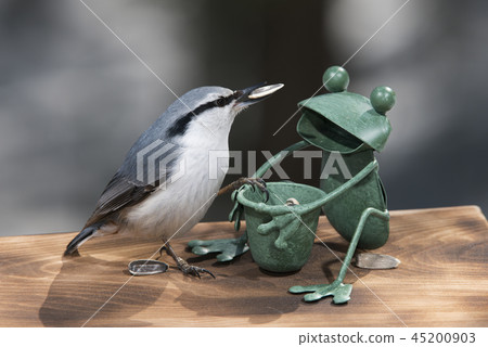 Shirohara Goju Sapporo City 45200903