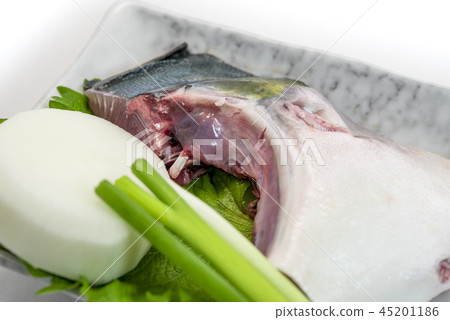 [武里卡瑪] 45201186