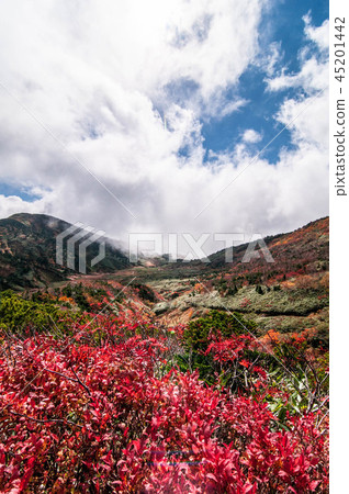 Autumn leaves of Hakusan 45201442