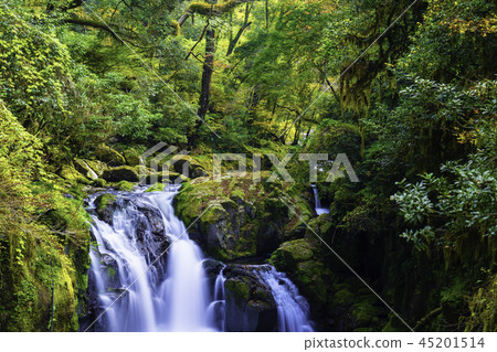Kikuchi Valley is getting dyed in the colors of autumn Kikuchi Valley is getting dyed in the colors of autumn 45201514