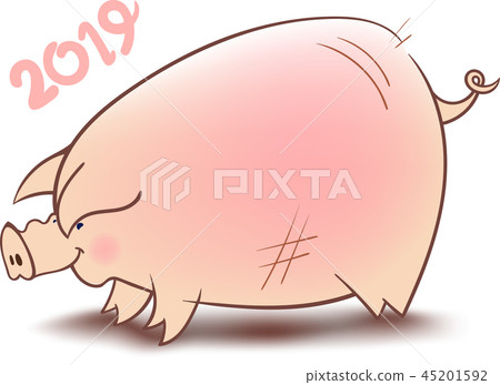Chinese Pig Year 45201592
