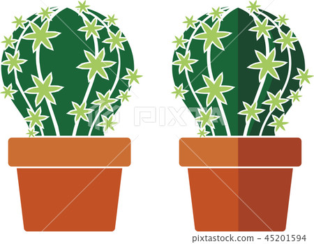 cactus in a pot 45201594