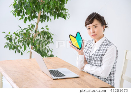 有初學者標記的女商人 45201673