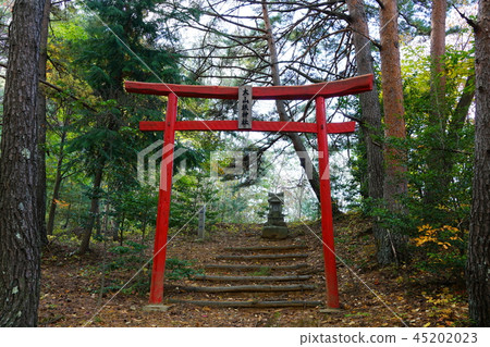 Misuzu Lake Oyamashima Shrine Matsumoto City Misuzu Lake Oyamashima Shrine Matsumoto City 45202023