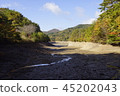 兵庫縣三田市母親和後代的母親和後代Oike排水的秋天 45202043