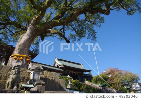 Suwa Shrine Nagasaki City Sakai Suwa Shrine Nagasaki City Sakai 45202046