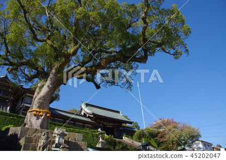 Suwa Shrine Nagasaki City Sakai Suwa Shrine Nagasaki City Sakai 45202047