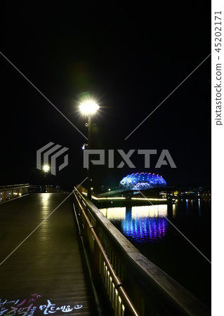 世宗市夜景 世宗市夜景 45202171