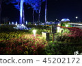 Sejong City Night View 45202172