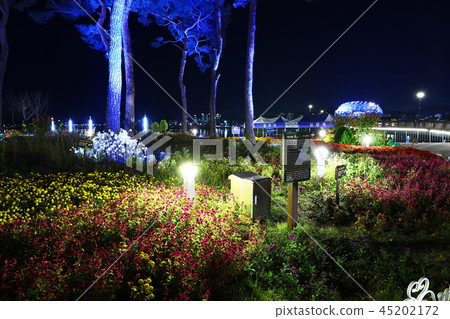 Sejong City Night View Sejong City Night View 45202172