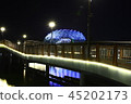 Sejong City Night View 45202173