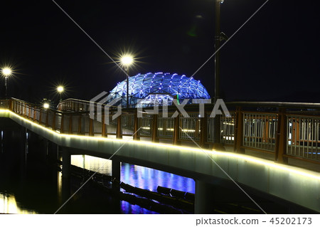 Sejong City Night View Sejong City Night View 45202173