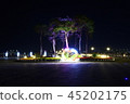 Sejong City Night View 45202175