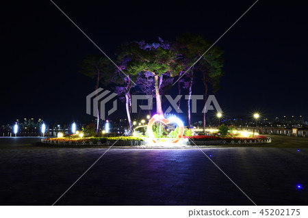 Sejong City Night View Sejong City Night View 45202175