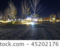 Sejong City Night View 45202176