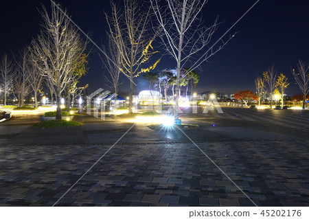 Sejong City Night View Sejong City Night View 45202176