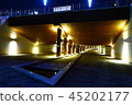 Sejong City Night View 45202177