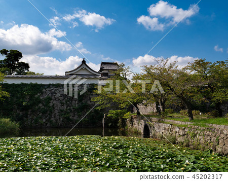 福岡城堡Shimonosuke門和潮汐股份 45202317