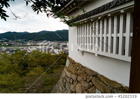 Tsuyama城堡堡Binakajima和Tsuyama市的看法 Tsuyama城堡堡Binakajima和Tsuyama市的看法 45202319