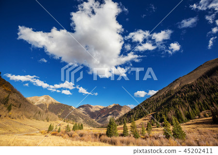 Autumn in Colorado 45202411
