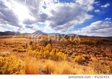 Autumn in Sierra Nevada 45202433