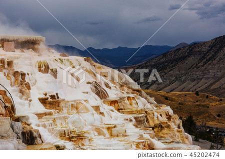 Mammoth Hot Springs 45202474