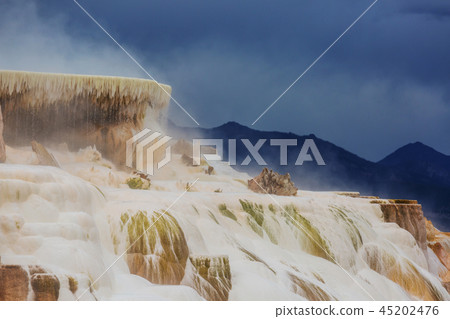Mammoth Hot Springs Mammoth Hot Springs 45202476