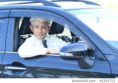 駕駛汽車的浪漫灰色人 駕駛汽車的浪漫灰色人 45202722