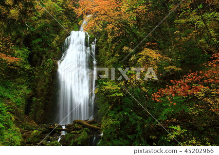 The folk valley of autumnal leaves 45202966