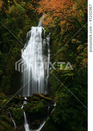 The folk valley of autumnal leaves 45202967