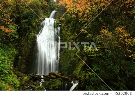 秋葉的民間谷 45202968