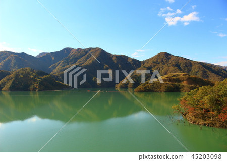 Tokuyama水壩秋葉 Tokuyama水壩秋葉 45203098