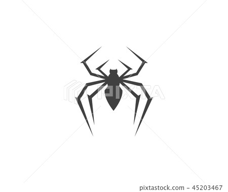 spider design