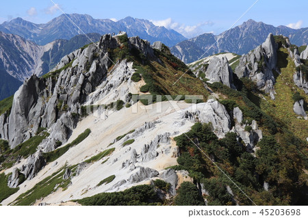 Mt. Mt. 45203698