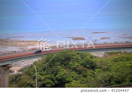 海和交流 45204447