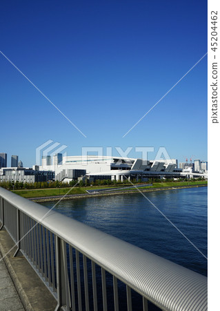 Toyosu market from Fujimi Bridge 45204462