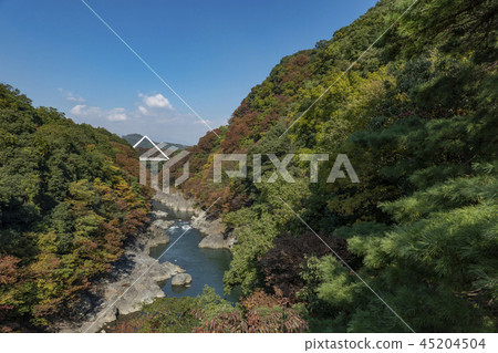 Takado Gorges 45204504