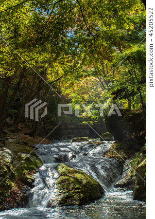 日光國立公園Kotarogabe 45205522