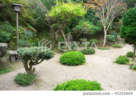 吉野山竹林 45205604