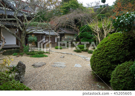 吉野山竹林 45205605