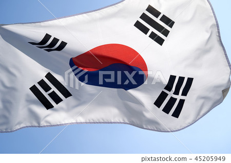 Taegeukgi在風中飄揚 45205949