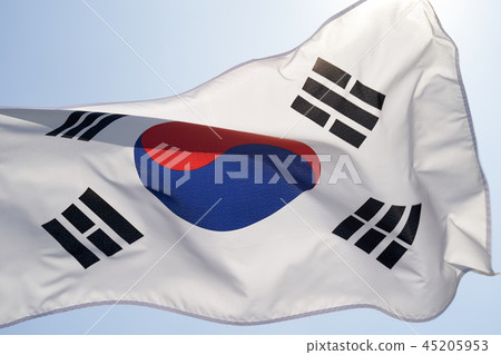 Taegeukgi在風中飄揚 45205953