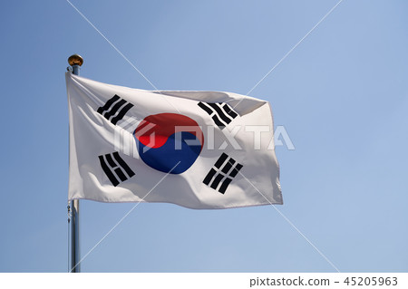 Taegeukgi在風中飄揚 45205963