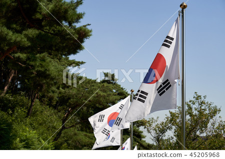 Taegeukgi fluttering in the wind Taegeukgi fluttering in the wind 45205968