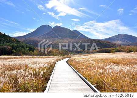 Mishimasan 1745m from Mt. Chojahara Tade source wetland nature research road 45206012