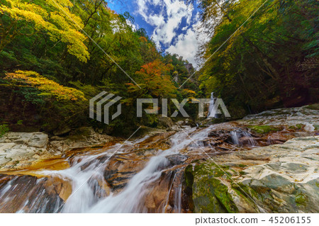 Bamboo waterfall Bamboo waterfall 45206155