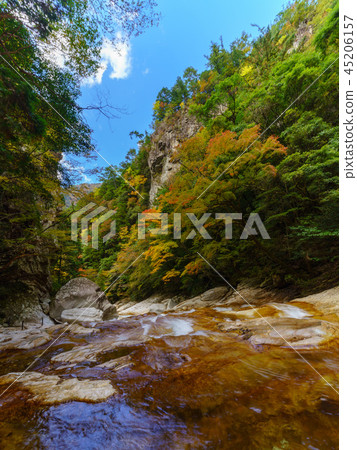Bamboo waterfall Bamboo waterfall 45206157