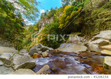Bamboo waterfall Bamboo waterfall 45206158