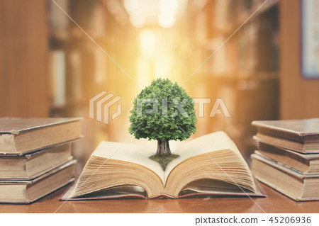 World philosophy day concept, tree of knowledge 45206936