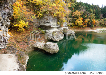 塔的秋天 45206988